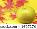 Pear with colored leaves 1697170