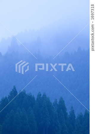 Forest of Morning Mound 1697318