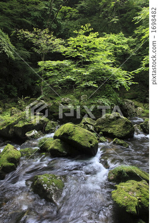 Red Eye Valley 1698482