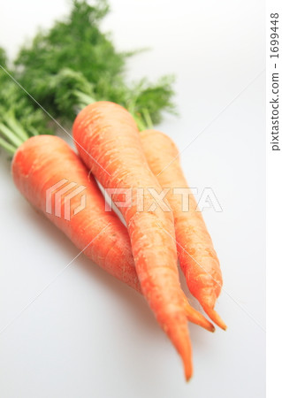 紅蘿蔔 紅蘿蔔 1699448