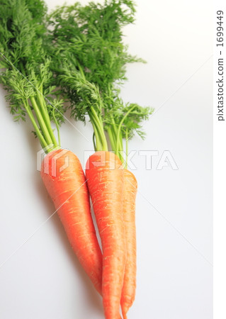 紅蘿蔔 紅蘿蔔 1699449