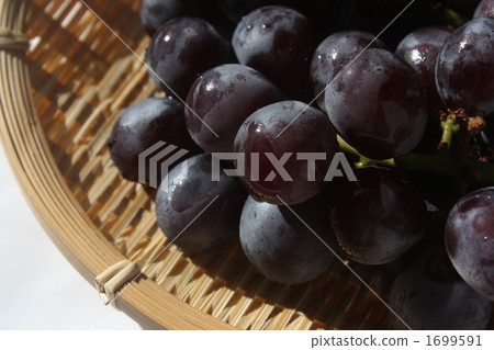 grape, vine, gigantic peak 1699591