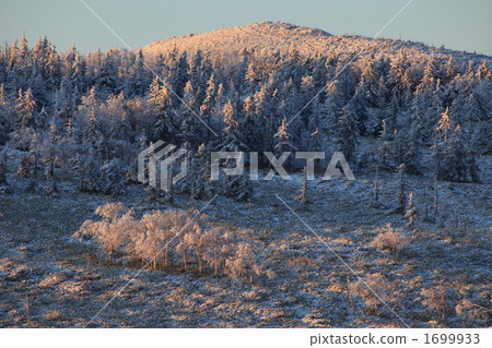 Pine grove ice 1699933