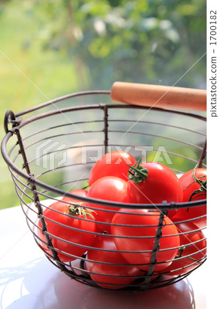 Plum type tomatoes Plum type tomatoes 1700182