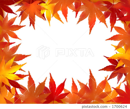 秋季樹葉框架 1700624
