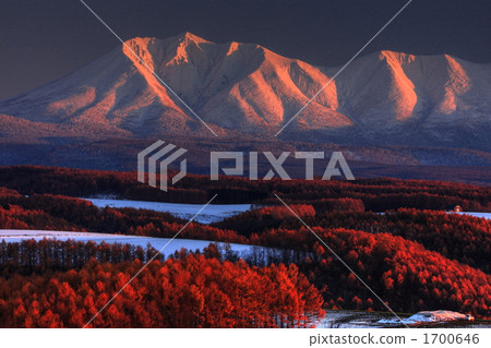 Mount Optutishki and Karamatsu forest Mount Optutishki and Karamatsu forest 1700646
