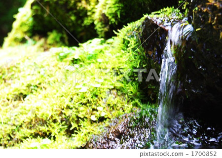 lake, spring, kyogoku 1700852