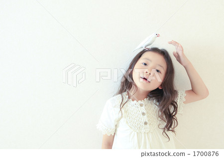 paddy bird, younger, female 1700876