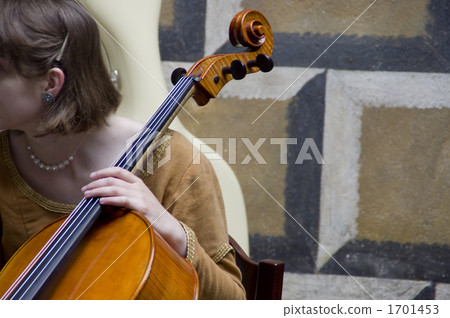 stringed instrument, stringed instruments, musician 1701453