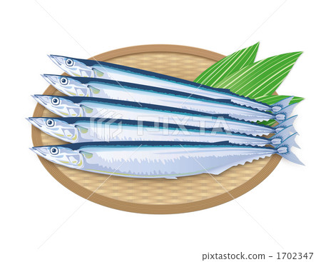 Autumn sweet saury Sanma San Autumn sweet saury Sanma San 1702347