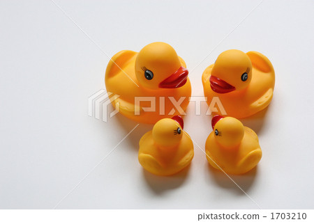 鴨子的家人 鴨子的家人 1703210