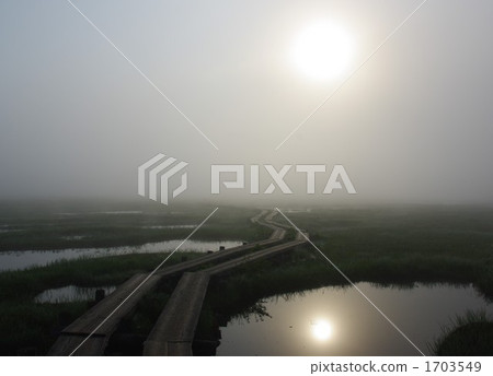 早晨薄霧和太陽在濕地面 1703549