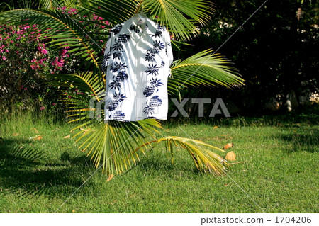 阿羅哈襯衫在風中搖晃 1704206