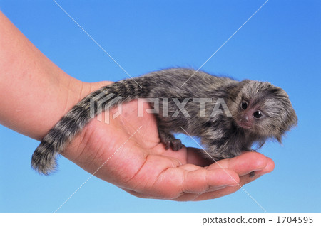 On the palm of your hand On the palm of your hand 1704595