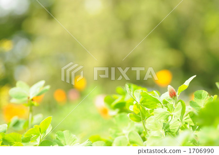 Strawberry candle 1706990