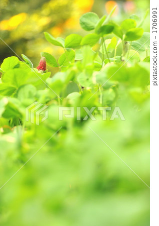 Strawberry candle 1706991