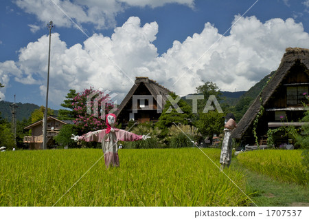 Summer Shirakawa Town 1707537