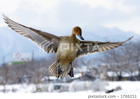 水資源救濟狀況 水資源救濟狀況 1708251