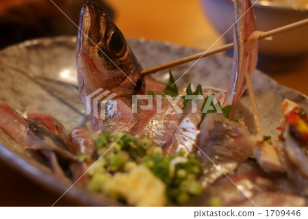 Build-up of horse mackerel 1709446