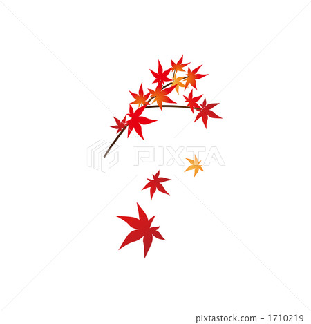 Autumn leaves (maple) 1710219