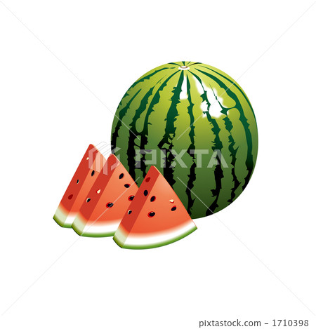 watermelon illustration 1710398