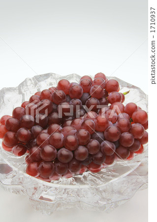 Grape (Delaware) Grape (Delaware) 1710937