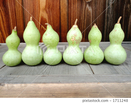 葫蘆的背 1711248