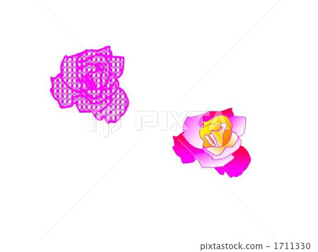 Rose of checks and gradations 1711330