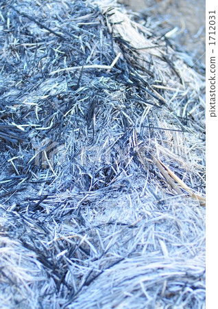 燃燒的松鼠 1712031