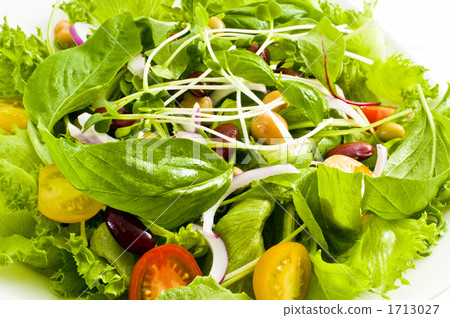 生菜 西餐 洋蔥 1713027