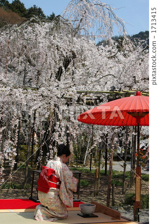 京都Yamashina Bishamondo的大倉櫻花點 1713415