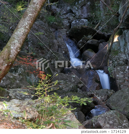 Shiro Yashio Valley Shiro Yashio Valley 1714129