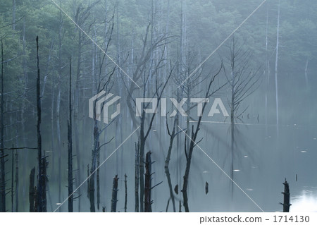 Takigoshi的天然湖 1714130