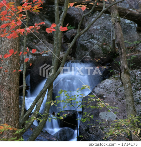 Shiro Yashio Valley Shiro Yashio Valley 1714175