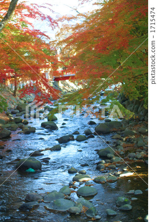 修善寺河的秋天 1715474