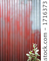 肉質植物 木材背景 紋理 1716373