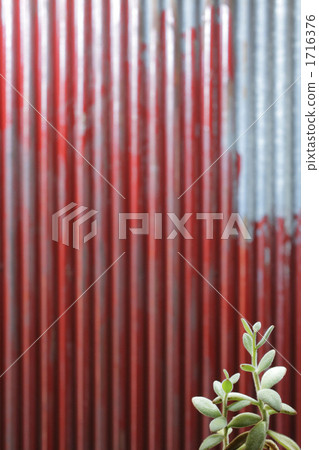 室內盆栽 觀葉植物 植物 1716376