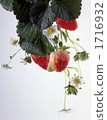 草莓 1716932