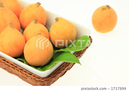 枇杷的果實 1717899