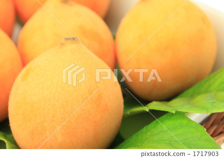 枇杷的果實 1717903