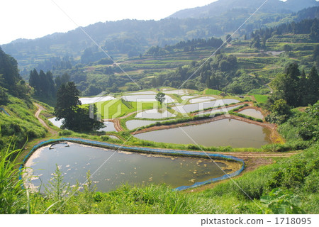 Rice terraces 1718095