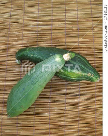Gourd Pumpkin Gourd Pumpkin 1718125
