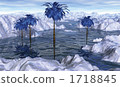 凍結海灘 1718845