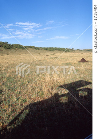 safari car, anthill, masai mara 1719404