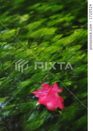 clear stream, brook, creek 1720524