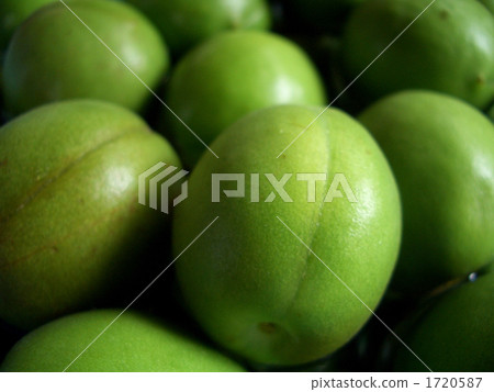 plum	 1720587