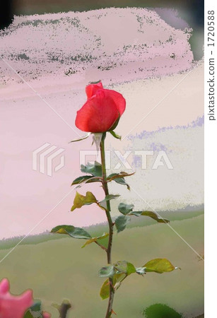例證調整一個輪子的紅色玫瑰的芽 1720588