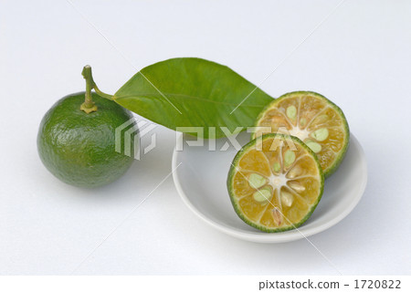 Shikwasa Shikwasa 1720822