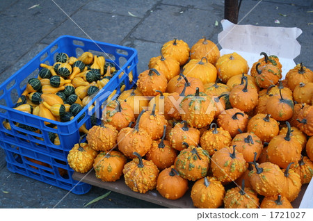 Daishi pumpkin 1721027