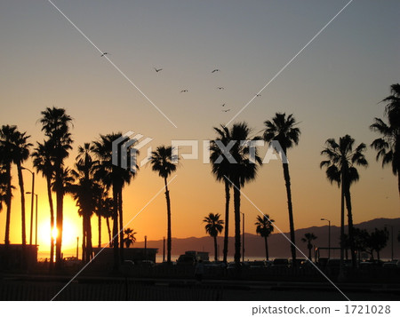 sunset, Venice beach, landscape 1721028